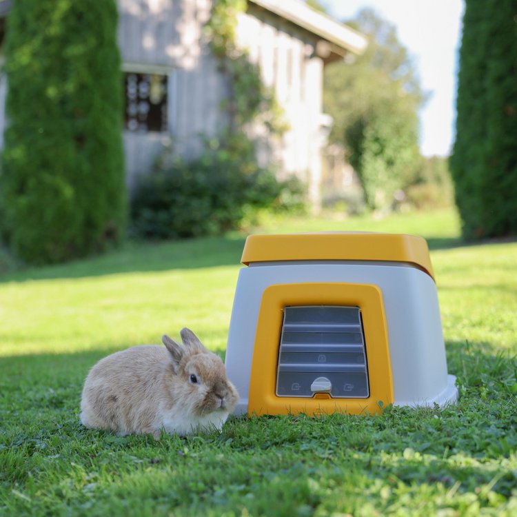 KERBL Kaninchenbau Bunny Base, Erdhöhle für Kaninchen